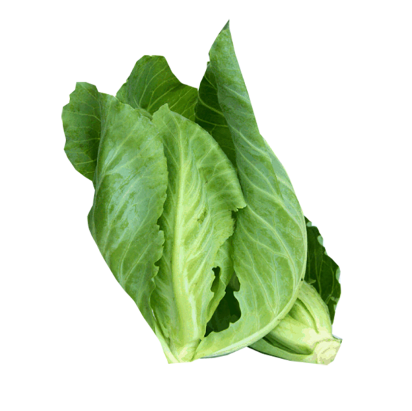 Baby Kai Lan (印尼菜旦)